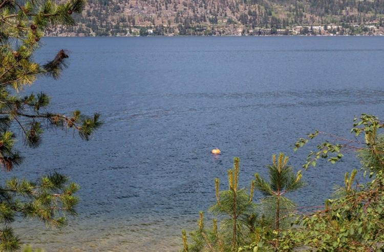 The Blue House Bed And Breakfast Lake Country Exterior foto